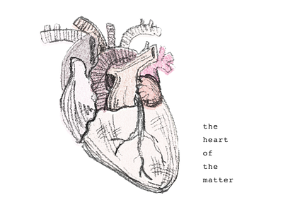 Heart of the Matter anatomical coloredpencil icon illustration pencil drawing