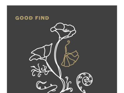 Fiddlehead Coffee Co. Illustration branding coffeeshop fiddlehead illustration minimal nouveau vector