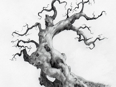 2018048 art drawing graphite illustration sketch tree