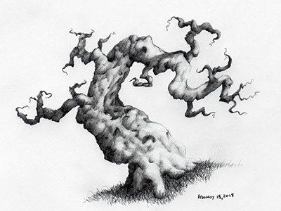 2018049 art drawing graphite illustration sketch tree