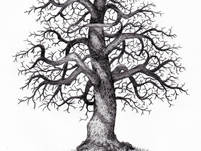 2018111 drawing sketch tree