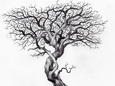 2018118 drawing sketch tree