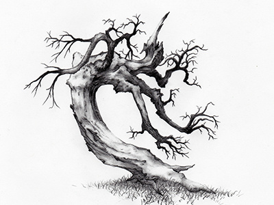 2018193 drawing illustration sketch tree