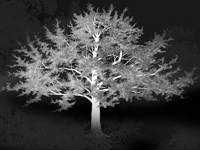 Moonlight Tree art illustration photoshop