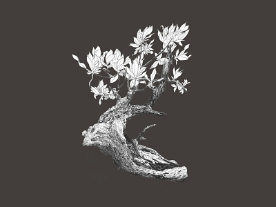 Bonsai Tree - Digital Illustration
