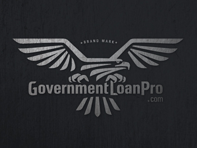 Government LoanPro Identity branding eagle finance identity design lending logo