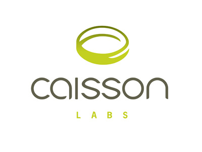 Caisson Labs Brand ID