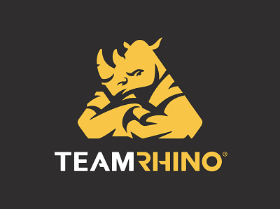 Team Rhino Jiu-Jitsu Logo brand identity jiu jitsu logo logo design logo designer logodesign logotype martial arts