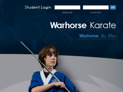 Shot Whjj Web01 design martial arts warhorse web design