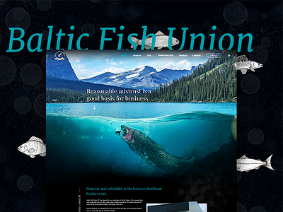 Baltic Fish Union business card corporate design flat landing landingpage product ui ux web web site webdesign webdevelopment website