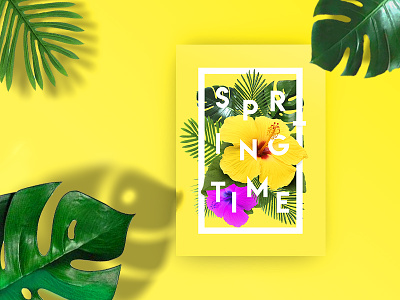 SpringTime 2d behance colours minimal poster print spring tropical typography ui uiux ux