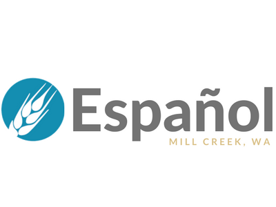 Logo Development branding church color communication icon logo logotype spanish texture visual