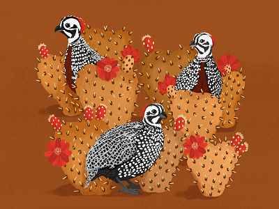 Montezuma Quail arizona desert graphic illustration montezumaquail quail