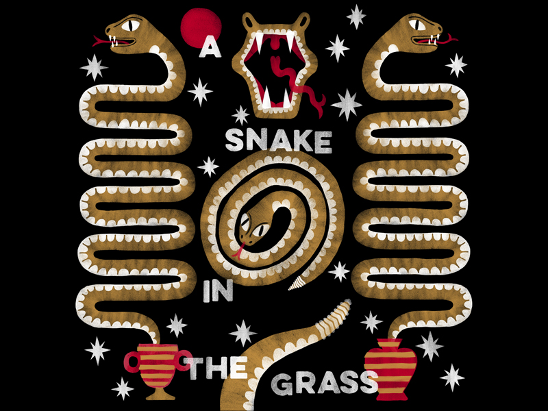 A Snake in the Grass! by Anna Lillian Martinez on Dribbble