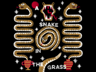 A Snake in the Grass! graphic illustration