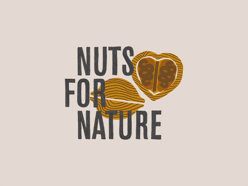 Nuts for Nature graphic illustration lettering nature nuts type