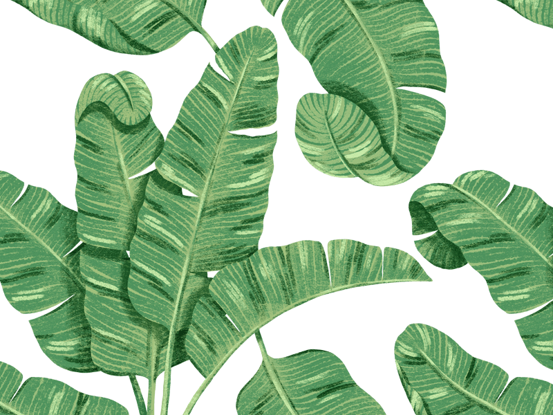 Banana Leaf Print by Anna Lillian Martinez on Dribbble