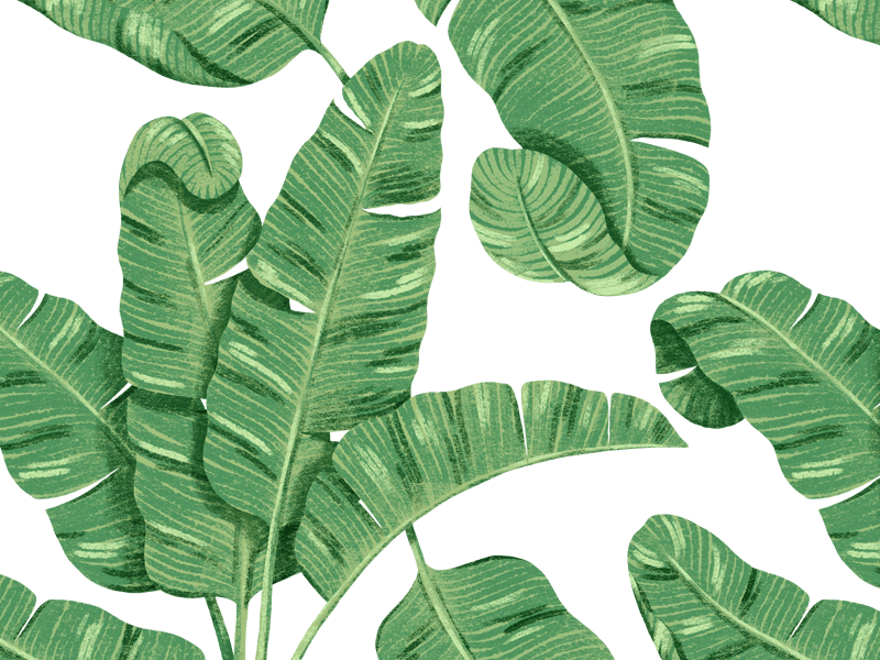 Banana Leaf Print