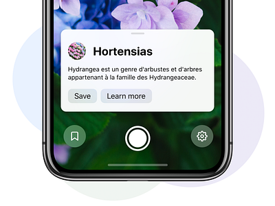 Hortensias 🌸 app design ios iphone ui