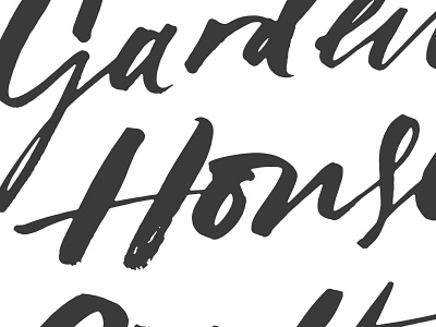 Brush-y. expressive gesture lettering logotype typography