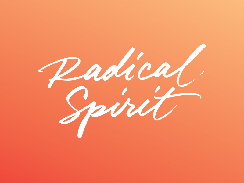 Radical Spirit typography book cover brush calligraphy lettering