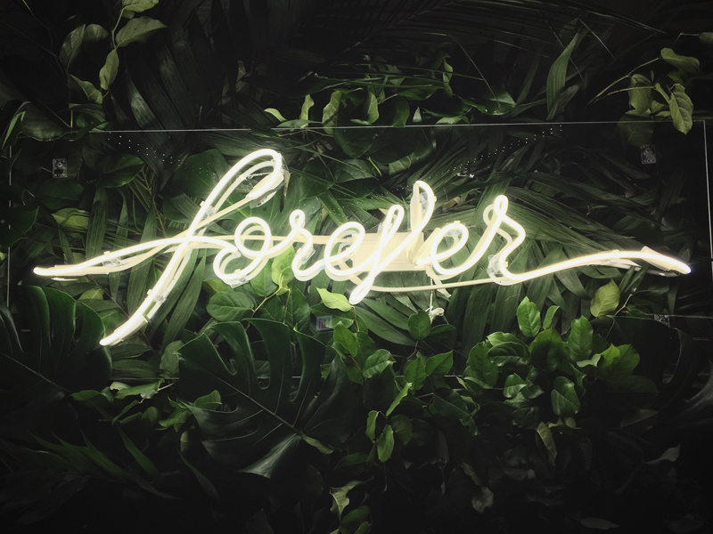 Forever, Neon. typography lighting neon monoline lettering