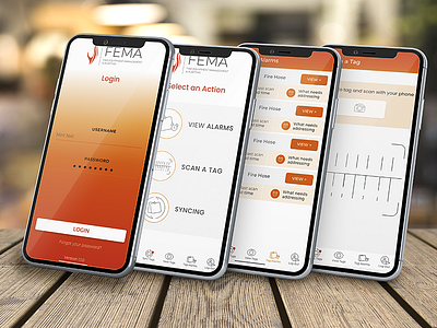 FEMA App app design ui ux