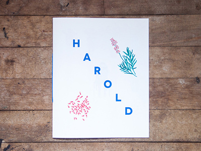 Harold edition fanzine illustration typography