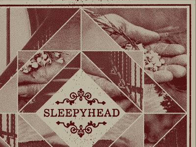 Sleepyhead Album album sleeve collage minneapolis north woods pop punk screenprinting stupid ass girls texture type