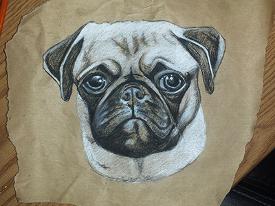 Pug charcoal dog drawing pug