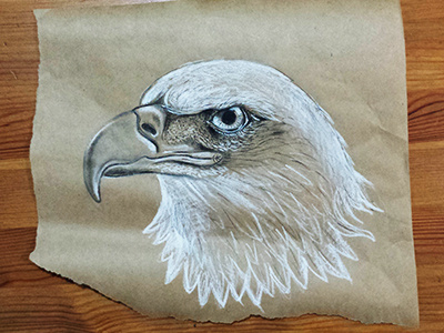Eagle charcoal drawing eagle