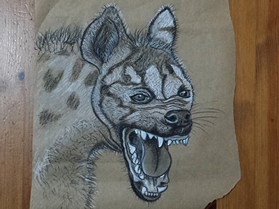 Hyena charcoal drawing hyena