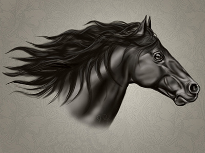 Stallion animal hair horse wind