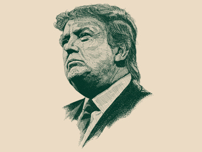 Donald Trump america barmalisirtb donald trump figure politic portrait art president usa