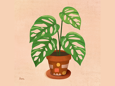 Monstera Adansonii Plants! branding design flat illustration illustration illustrator montstera plant illustration plants vector