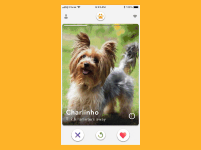 Daily UI 006 - User Profile adoption animation cat dailyui design dog match pets profile tinder user