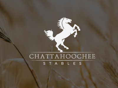 Chattahoochee Logo adobe illustrator adobe photoshop artwork icon logo design