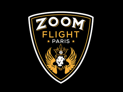 Zoom Fight logo