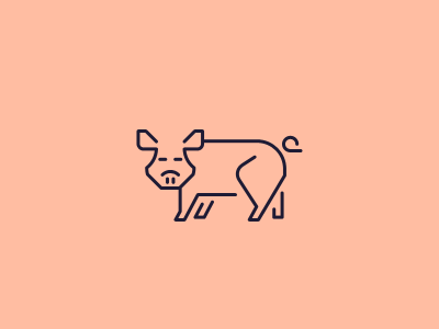 Pig animal icon icon design line picto pictogram pig