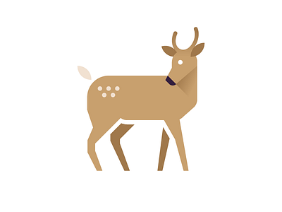 Deer animal deer geometric gradient icon iconic illustration minimal
