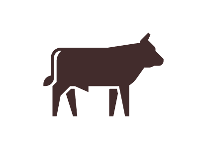 Bull animal bull bullock cow icon icon design iconic meat picto pictogram symbol