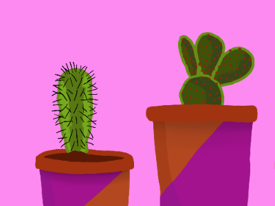 Colorful Cacti cactus desert digital painting plants pots shadows succulents