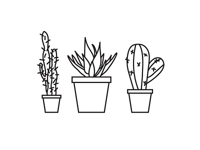Cactus icons cactus desert icons plants pots shadows succulents