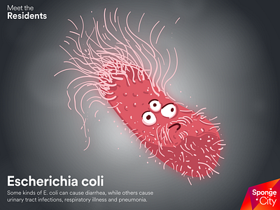 Sponge City: Escherichia Coli