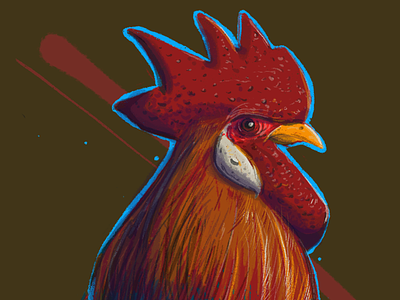 Rooster, study. chicken illustration procreate rooster
