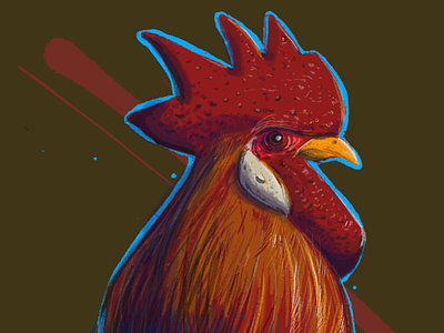 Rooster, study.