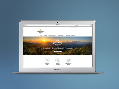 Kingdom Harvest Website Design design graphicdesign kingdomharvest web design website websitedesign