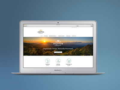 Kingdom Harvest Website Design