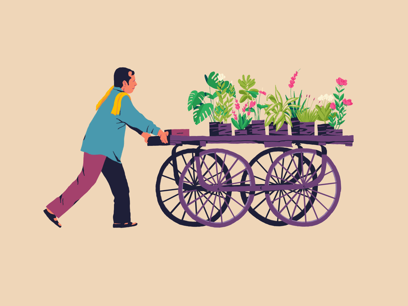 Spreading The Greens 2d aftereffects animation character animation flower gif illustration indian plants seller