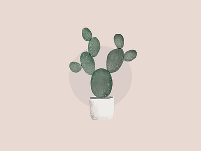 Cactus Illustration